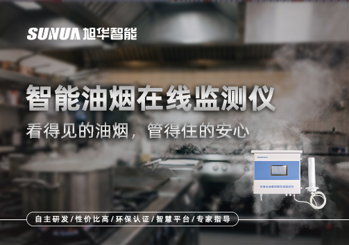 智能油烟在线监测仪：看得见的油烟，管得住的安心